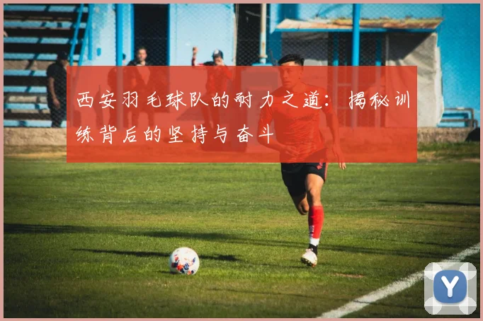 西安羽毛球队的耐力之道：揭秘训练背后的坚持与奋斗