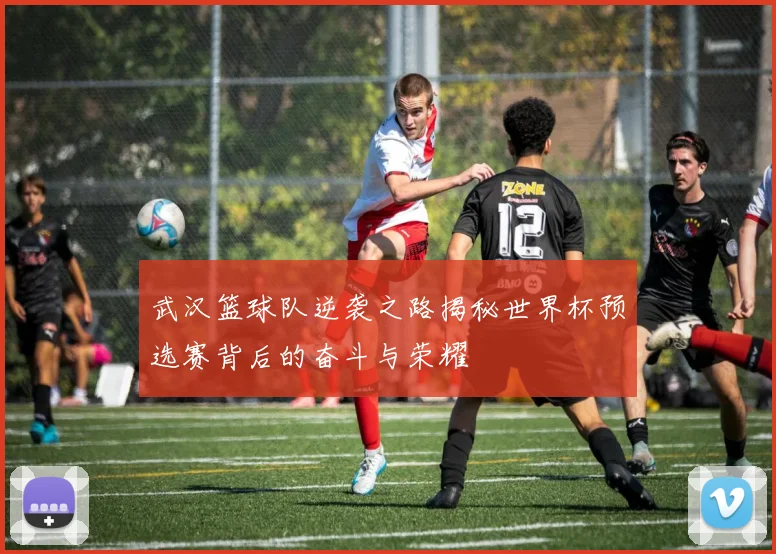 武汉篮球队逆袭之路揭秘世界杯预选赛背后的奋斗与荣耀