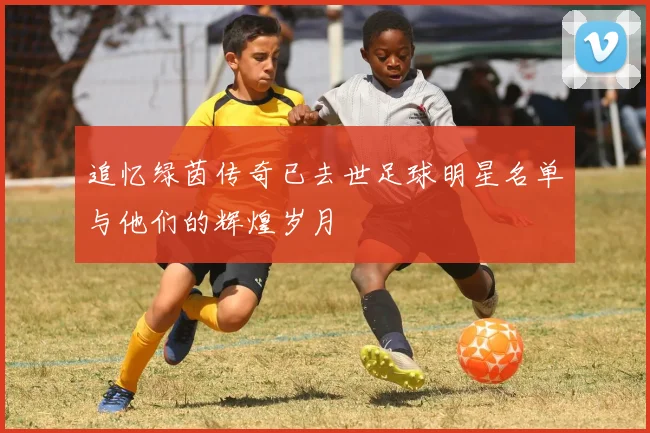 追忆绿茵传奇已去世足球明星名单与他们的辉煌岁月