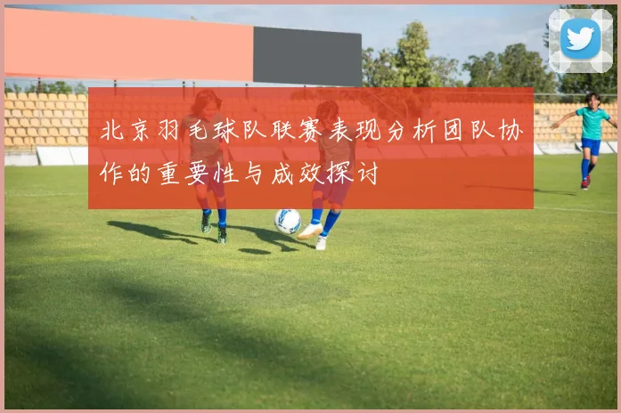 北京羽毛球队联赛表现分析团队协作的重要性与成效探讨
