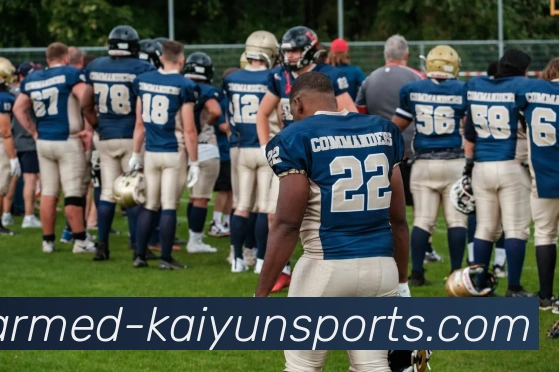 开云体育官网平台生态图